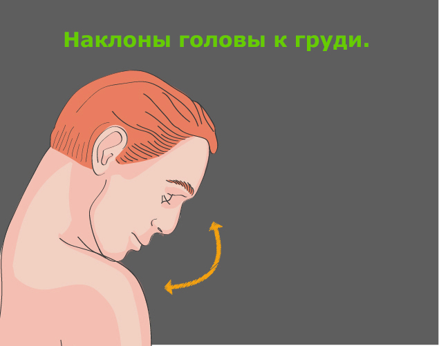 Профилактика шейного остеохондроза: наклоны головы к груди